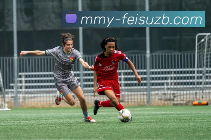 飞速NBA直播平台生态图